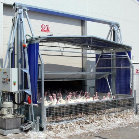 Platform for loading turkeys