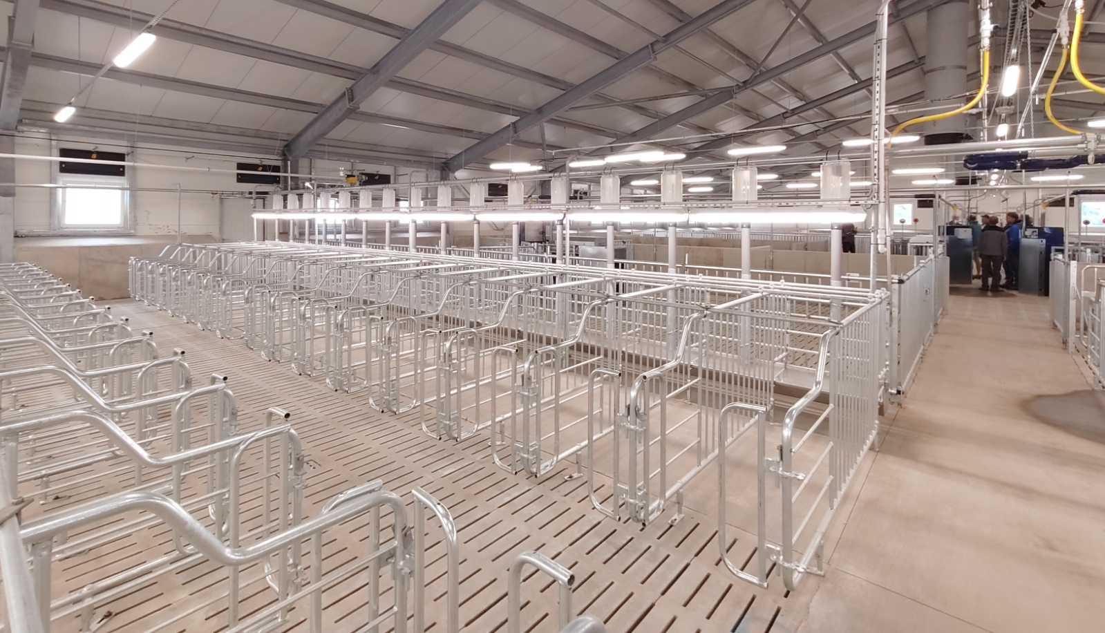 Equipment for housing<br> the barren and pregnant sows