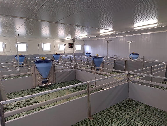 Stable technologies for pigs