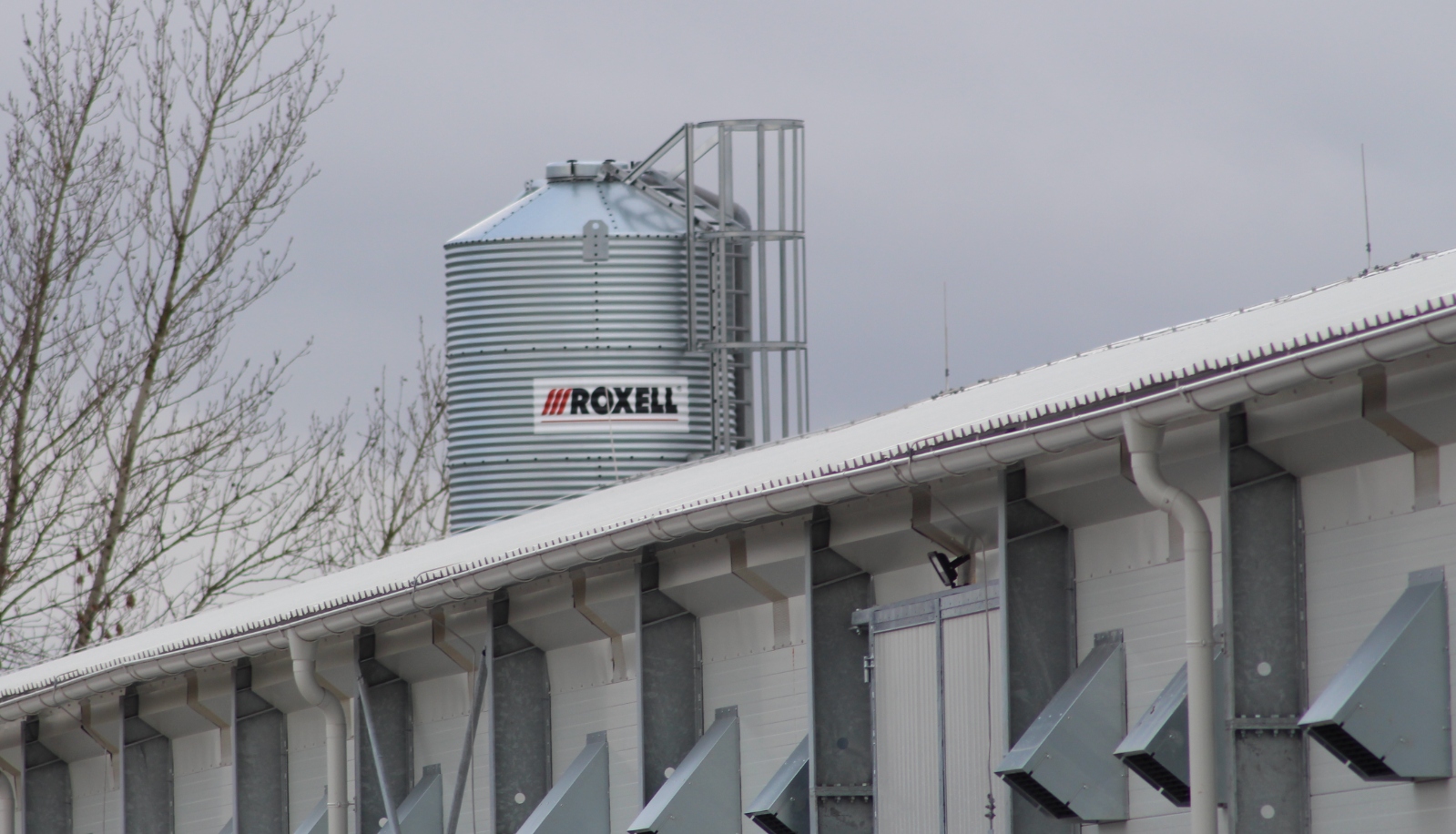 Feed silos and conveyors