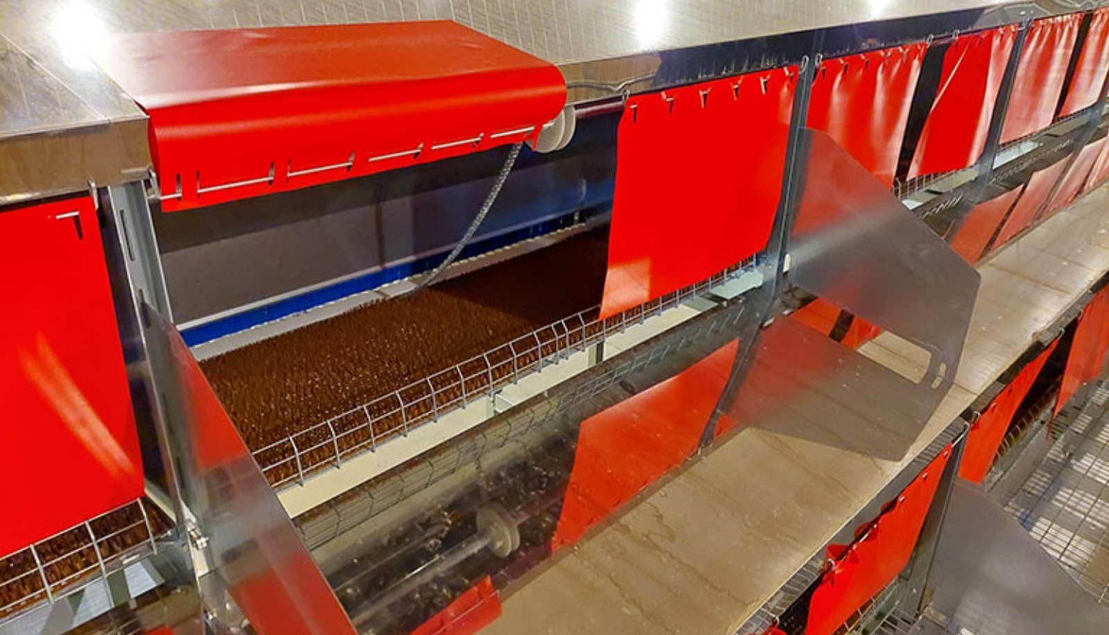 AS 380 - Age