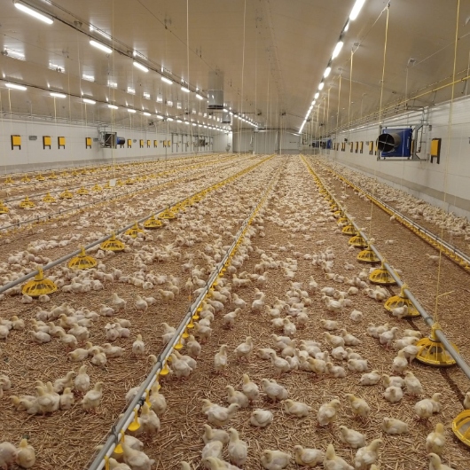 Slovácký statek - Pánov, Pánov 2025