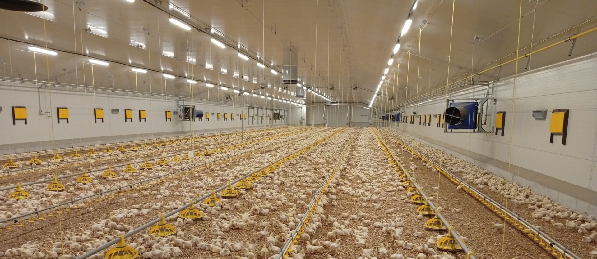 Slovácký statek - Pánov, Pánov 2025