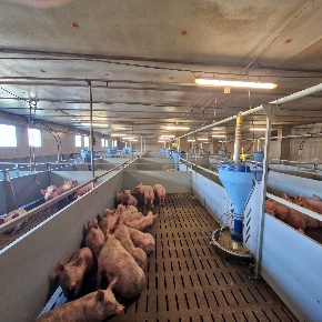 ZEVAS Vraclav a.s., Vraclav, 2025